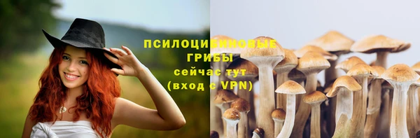 ALPHA-PVP Арсеньев