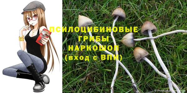 не бодяженный Аркадак