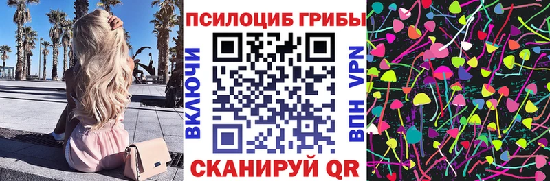 даркнет сайт  Строитель  Псилоцибиновые грибы MAGIC MUSHROOMS 