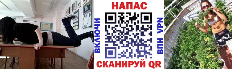shop Telegram  Строитель  Канабис VHQ  ОМГ ОМГ маркетплейс 